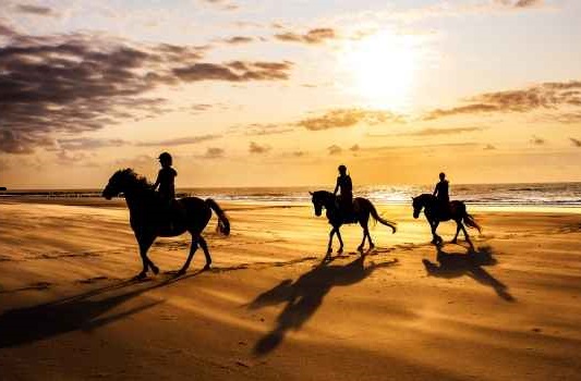 Horseback Riding Adventure in Caleta del Fuste